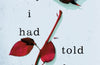 If Only I Had Told Her: The Instant #1 Sunday Times Bestseller by Laura Nowlin