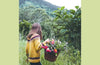 Wild Life: 50 Projects to Rewild Your Life From the Home to Outdoors by Anna Carlile
