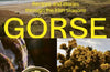 Gorse: Recipes and stories through the Irish seasons by Ciara O hArtghaile