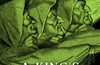 Witches: A King's Obsession by Steven Veerapen