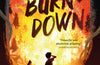 World Burn Down by Steve Cole