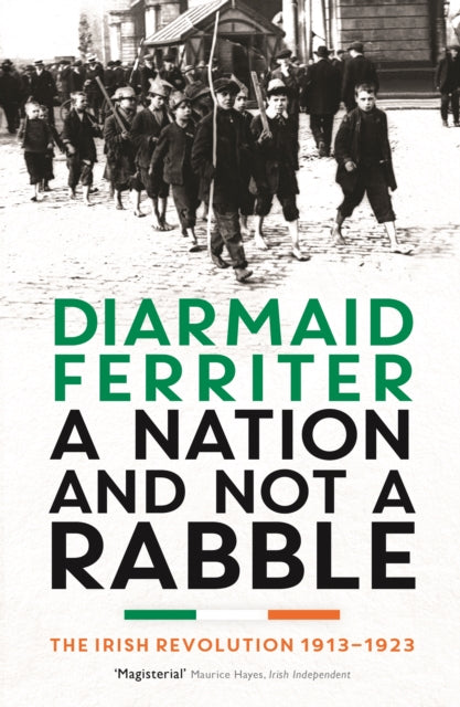 A Nation and not a Rabble: The Irish Revolution 1913–23 by Diarmaid Ferriter