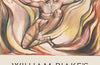 William Blake's Universe