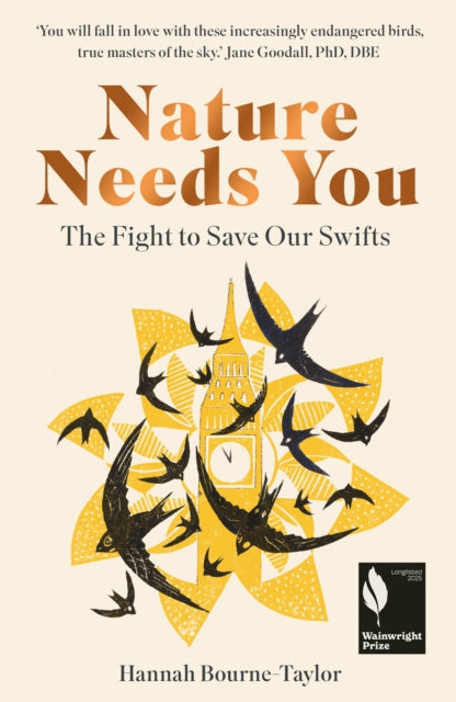 Nature Needs You: The Fight to Save Our Swifts by Hannah Bourne-Taylor