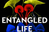 Entangled Life by Merlin Sheldrake