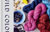 Wild Colour: How to Make and Use Natural Dyes by Jenny Dean