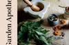 The Garden Apothecary: Transform Flowers, Weeds and Plants into Healing Remedies by Becky Cole