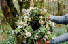 Crafting with Flowers: Celebrate the Seasons with 20 Floral Projects by Bex Partridge