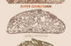 Super Sourdough: The Foolproof Guide to Making World-Class Bread at Home by James Morton