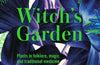 Kew - Witch's Garden: Plants in Folklore, Magic and Traditional Medicine