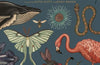Animalium