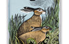 Angela Harding: Rathlin Hares (Foiled Journal)