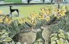 Adult Jigsaw Puzzle Angela Harding: Look Out! : 1000-Piece Jigsaw Puzzles