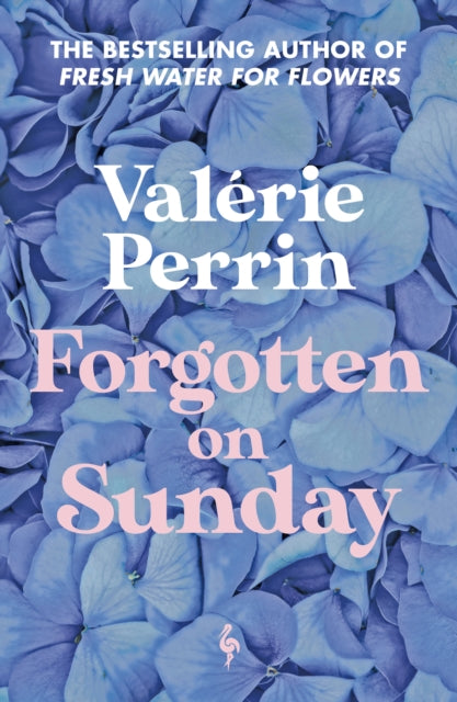 Forgotten on Sunday: From the million copy bestselling author of Fresh Water for Flowers by Valerie Perrin