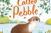 An Otter Called Pebble by Helen Peters