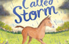 A Foal Called Storm by Helen Peters