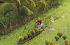 Lonely Planet Vietnam, 16 ed.