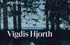 Will and Testament by Vigdis Hjorth