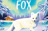 The Arctic Fox by Holly Webb