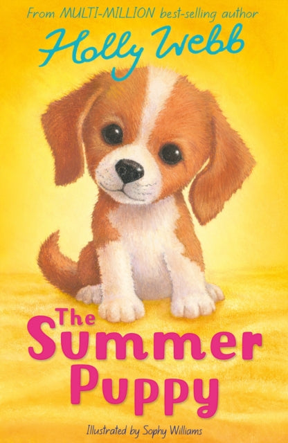 The Summer Puppy by Holly Webb