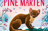 The Secret Pine Marten by Holly Webb
