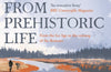 Scenes from Prehistoric Life: From the Ice Age to the Coming of the Romans by Francis Pryor