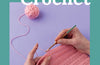 Beginner's Guide to Crochet: Easy techniques and 8 fun projects by Claire Montgomerie