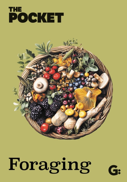 The Pocket Foraging