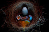 Cuckoo by Gretchen Felker-Martin