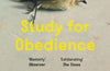 Study for Obedience by Sarah Bernstein