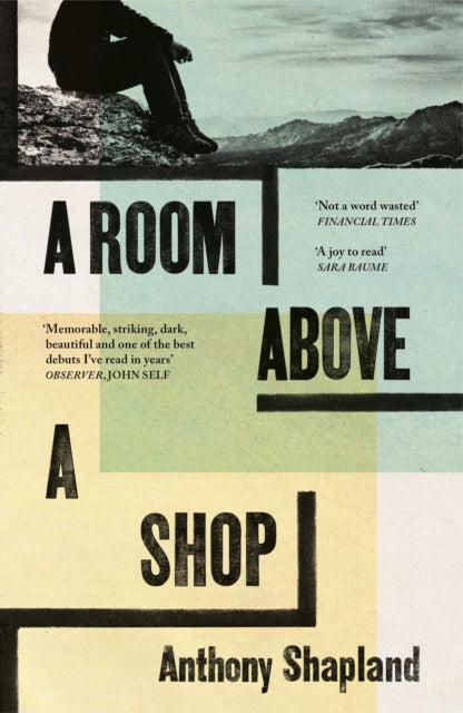 A Room Above a Shop by Anthony Shapland