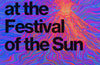 Electric Shamans at the Festival of the Sun by Monica Ojeda