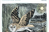 Angela Harding Colouring Book