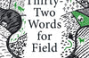 Thirty-Two Words for Field: Lost Words of the Irish Landscape by Manchan Magan