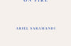 Portrait of an Island on Fire by Ariel Saramandi