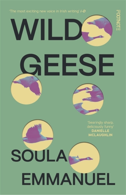 Wild Geese by Soula Emmanuel