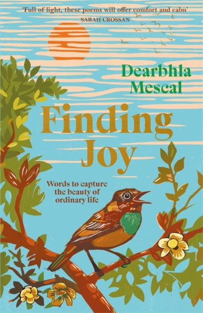 Finding Joy: Words to capture the beauty of ordinary life by Dearbhla Mescal