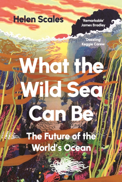 What the Wild Sea Can Be: The Future of the World's Ocean by Helen Scales