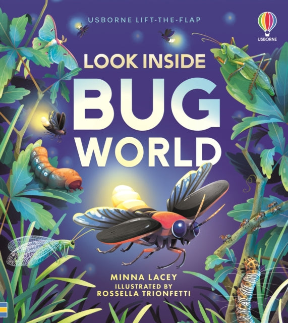Look Inside Bug World by Minna Lacey