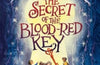 The Secret of the Blood-Red Key by David Farr
