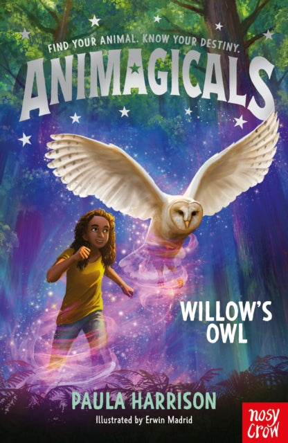 Animagicals: Willow's Owl by Paula Harrison