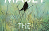 The Accidental Garden: Gardens, Wilderness and the Space In Between by Richard Mabey