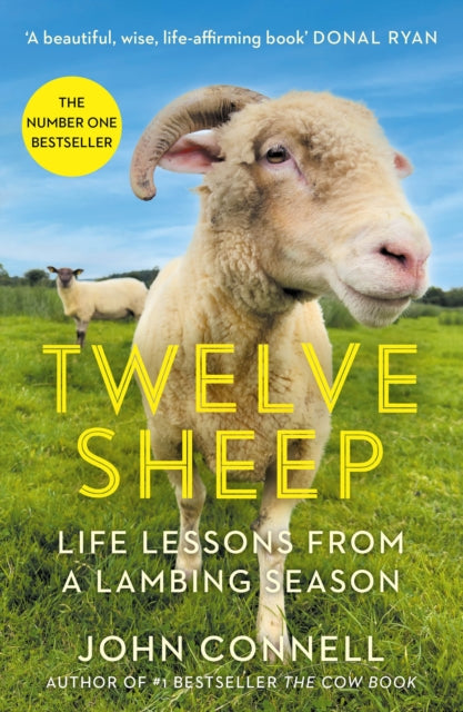 Twelve Sheep: Life lessons from a lambing season by John Connell