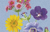 RHS Pocket Diary 2027