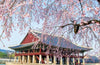 The Rough Guide to Korea: Travel Guide with eBook, 5 ed.