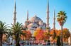 The Mini Rough Guide to Istanbul and the Aegean Coast: Travel Guide with eBook