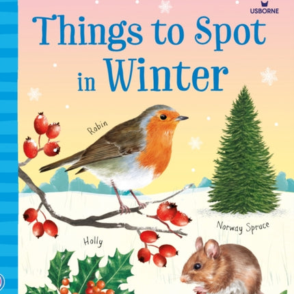 Collection image for: Usborne Minis
