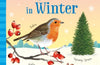 Things to Spot in Winter