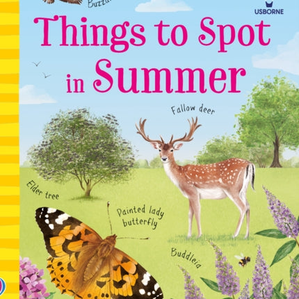 Collection image for: Usborne Minis
