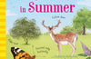 Things to Spot in Summer